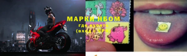 стаф Алексин