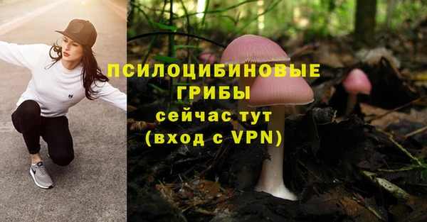 твердый Нефтегорск