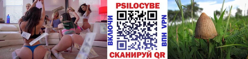Галлюциногенные грибы Cubensis  магазин продажи   Королёв 